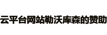 开云平台网站勒沃库森的赞助商