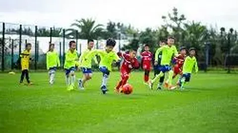 开云平台网站勒沃库森的赞助商 资讯 114946 qso