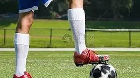 开云平台网站勒沃库森的赞助商 产品 102116 sna