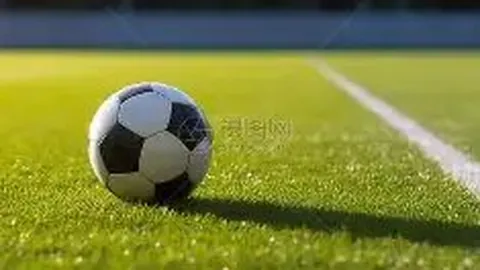 开云平台网站勒沃库森的赞助商 资讯 120139 o2e