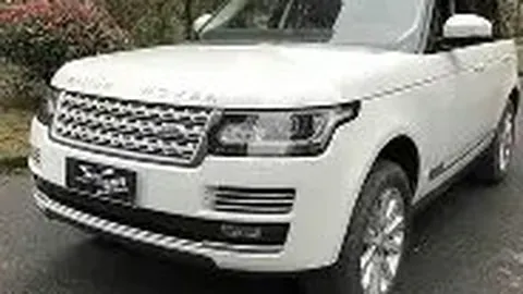 开云平台网站勒沃库森的赞助商 产品 115100 m56