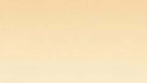 张雨霏挺进女子100米蝶泳决赛