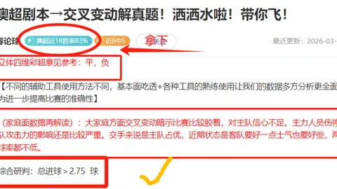 英冠赛事数据深度分析：大乐透期号专家推荐解析
