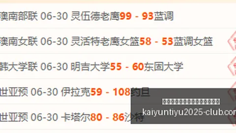 开云平台网站勒沃库森的赞助商 113547 3