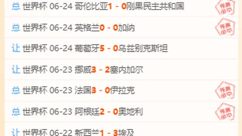 开云平台网站勒沃库森的赞助商 113117