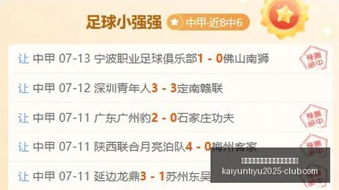 开云平台网站勒沃库森的赞助商勒沃库森赞助商突发变动结果已