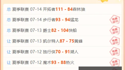 开云平台网站勒沃库森的赞助商 121232 90